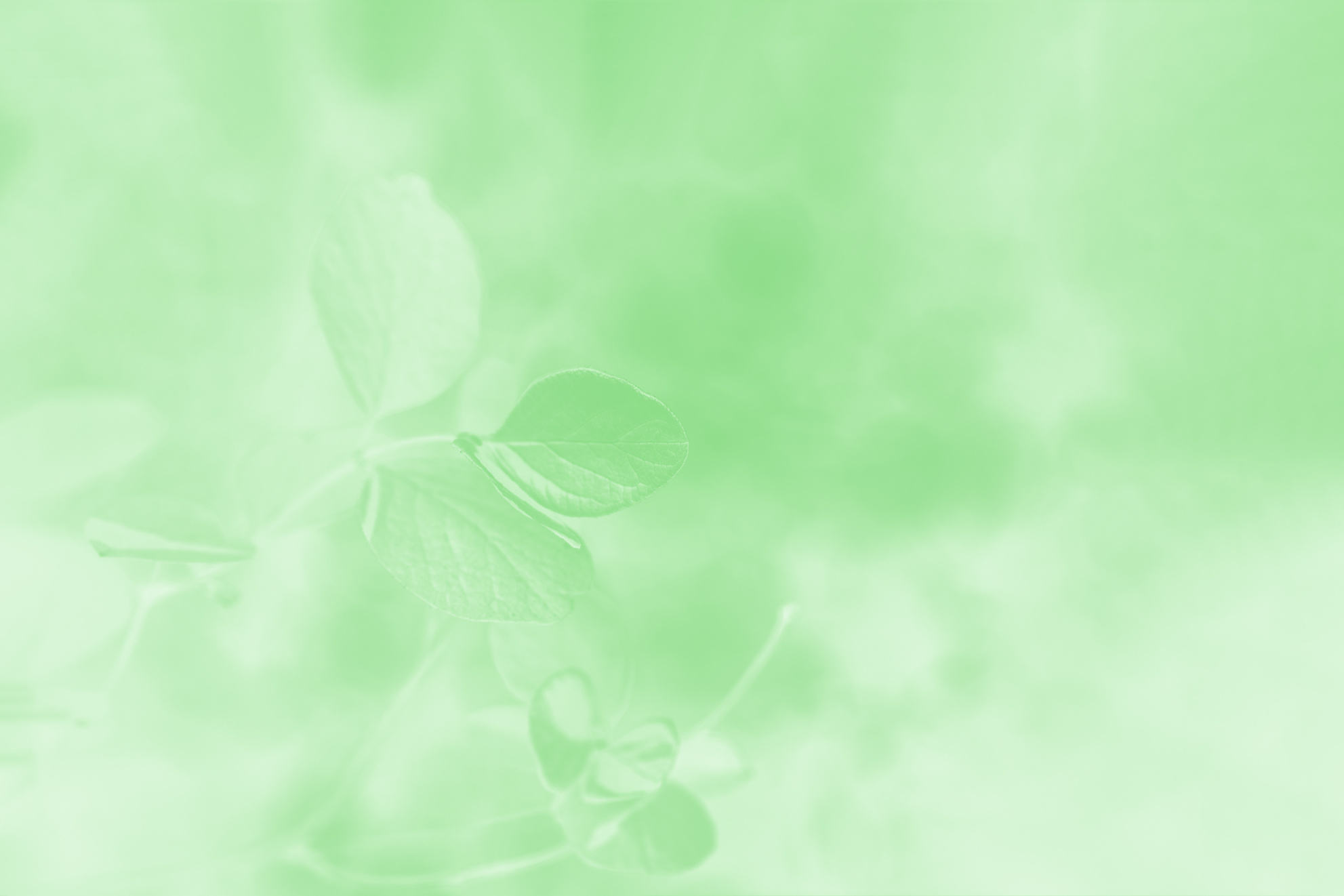 Light green gradient abstract background with leaves pattern